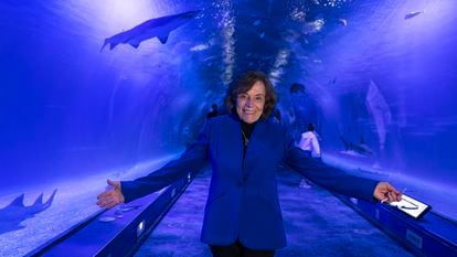 Marine biologist and explorer Sylvia Earle, at the Oceanogràfic marine complex in Valencia, Spain; November 6, 2023.