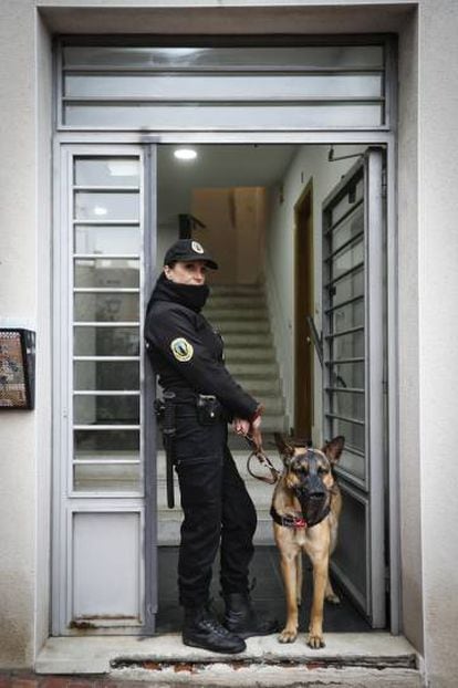 Desokupación Legal uses dogs in their eviction operations.