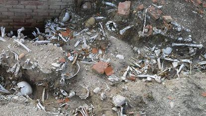 Bones discovered in the mass grave in La Almudena cemetery in Madrid.