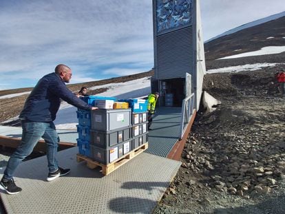 A delivery of seeds arrives at the World Seed Vault in Svalbard (Norway).