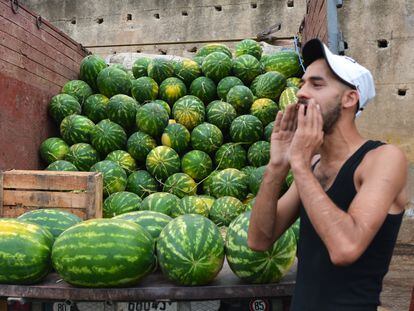A watermelon vendor in Fez, Morocco.