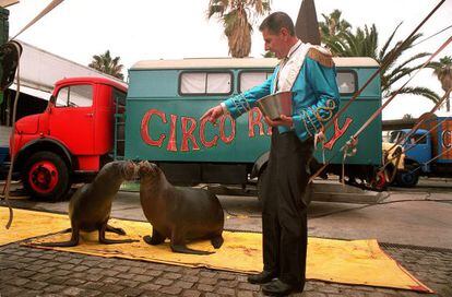 Circus animals will not be able to visit Catalonia should the new law pass.