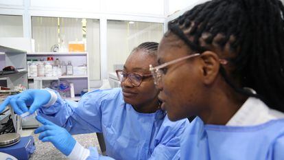 Researchers at the African Center of Excellence for Genomics of Infectious Disease in Ede, Nigeria.