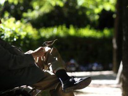 One out of every 10 Spaniards feel frequently lonely, a study finds.