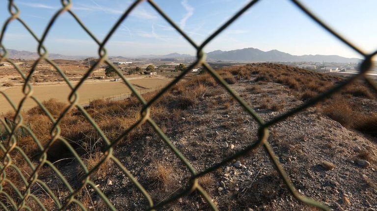 A fenced-off section of the contaminated area.