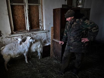 Volodymyr, 51, with some of the goats he lives with at his home in Petropavlivka, on March 15.