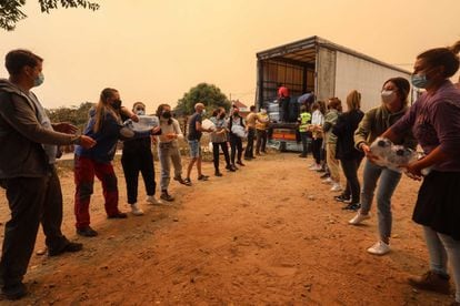 Locals of Navalmoral de la Sierra help emergency services fight the wildfire.