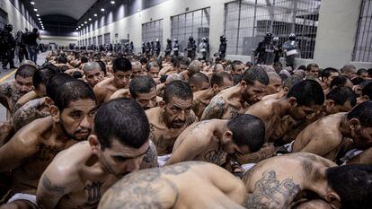 Suspected gang members transferred to the Terrorism Confinement Center in Tecoluca, El Salvador.