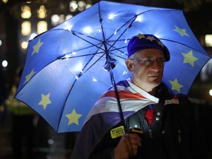 A Remain supporter demonstrates in front of Westminster.
