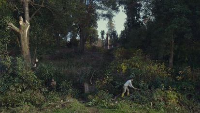 A scene from 'Taming the Garden'
