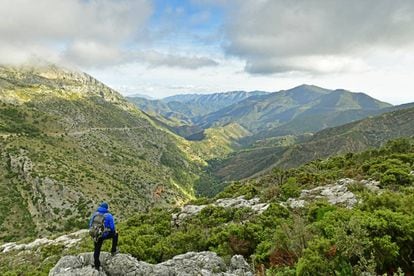 A view in Sierra de las Nieves, now a national park.