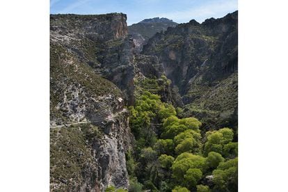 Just minutes from the center of Granada, the Monachil River runs through a narrow gorge at the base of the Sierra Nevada massif where an exciting mountain trail – three hours long and moderate to difficult – climbs above the ravine (above), taking you to a suspension bridge that’s 63 meters long and a passageway that forces you to crouch at the part known as The Pigeons’ Cave.