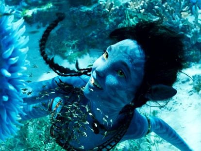 An image from the movie 'Avatar: The Way of Water.'