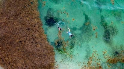 Tourists swim at Xcalacoco beach next to sargassum in Playa del Carmen, Quintana Roo.