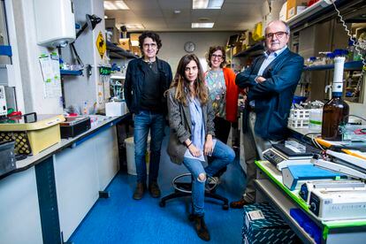 From left to right, researchers Marcos Malumbres, Carolina Villarroya, Sandra Rodríguez and Miguel Urioste, in a laboratory at the National Cancer Research Center.