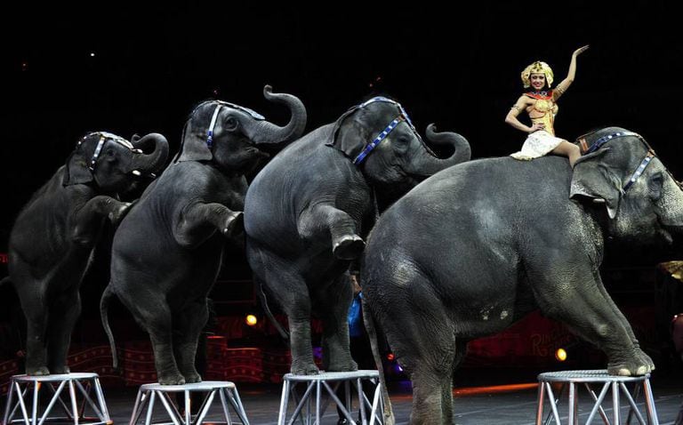 The Ringling circus in New York, 2010.