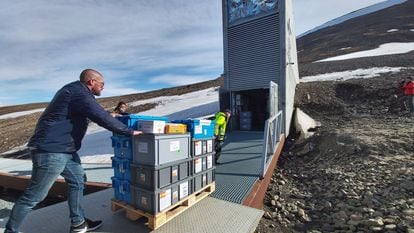 A delivery of seeds arrives at the World Seed Vault in Svalbard (Norway).