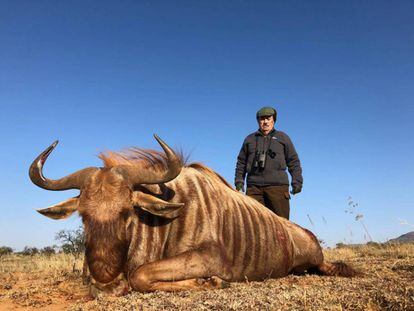 Marcial Gómez Sequeira poses with a stuffed wildebeest killed in South Africa.