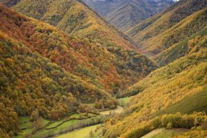 Las Tablizas lead to the natural reserve of Muniellos (Asturias).