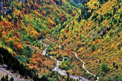 The charm of the Pyrenees’ most spectacular valley lies in this explosion of color that skirts these mountains covered in oak, ash, maple, hazel and rowan trees straddling the River Arazas.