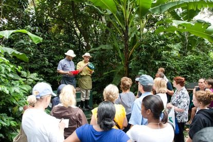 Guided tour of the Britt Plantation near San Juan, Puerto Rico.