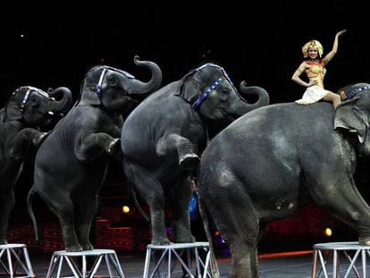 The Ringling circus in New York, 2010.