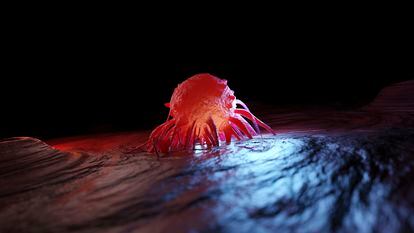 Three-dimensional render of a cancer cell.