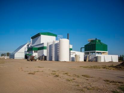 The peanut-based power plant in Ticino, Argentina.