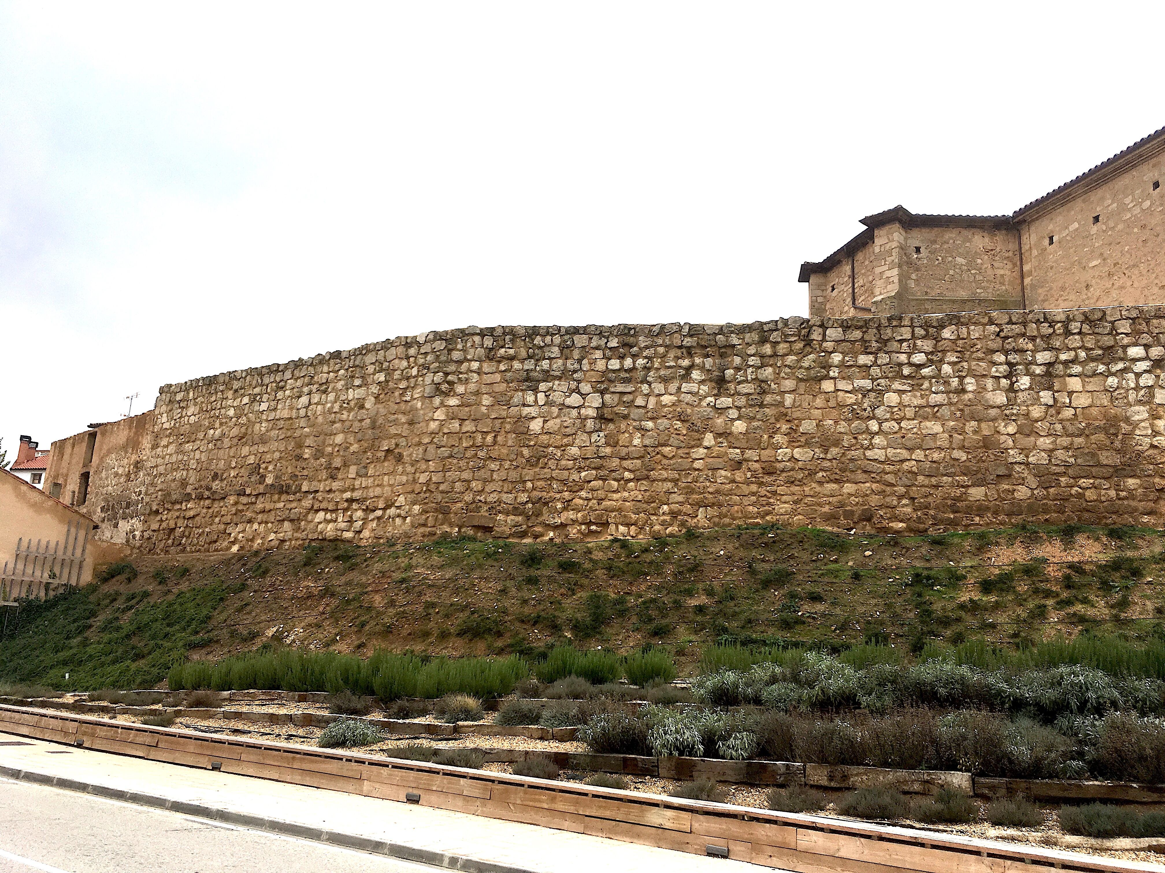 The visible portion of the walls of Almazán (Soria).
