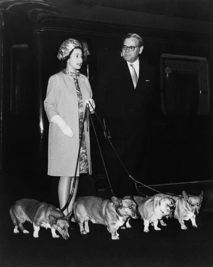 Elizabeth II arriving at King's Cross Station, London, on October 15, 1969 with her four corgis after a holiday at Balmoral Castle. She used to travel with her pets, so images of Queen II surrounded by corgis were common.