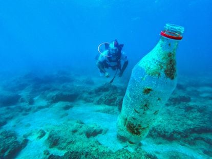 A scuba diver participates in a clean-up campaign in the Turkish Mediterranean last summer.