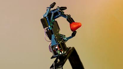 A prototype of a robotic hand