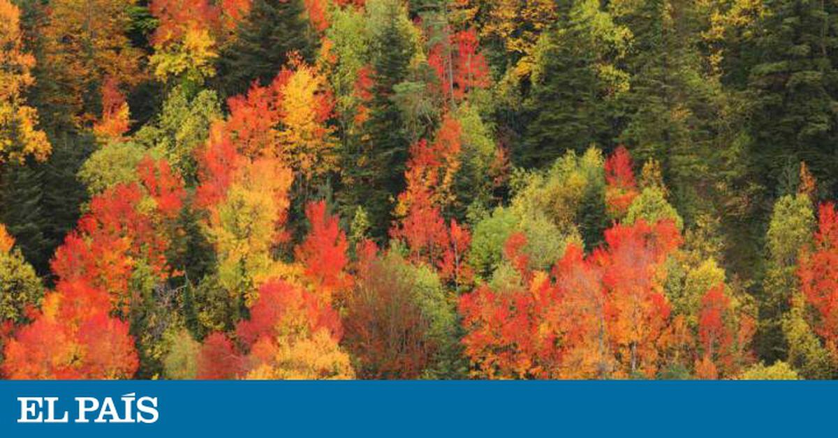 Changing seasons in Spain: After a record-breaking summer in Spain ...