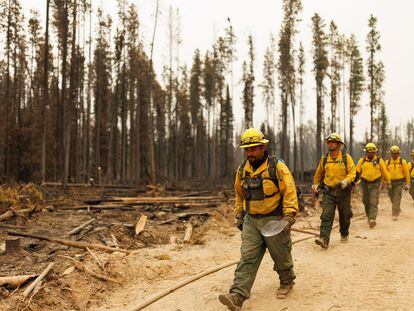 Firefighters from Mexico march along a fireguard as they battle wildfires near Vanderhoof, British Columbia, Canada July 13, 2023.