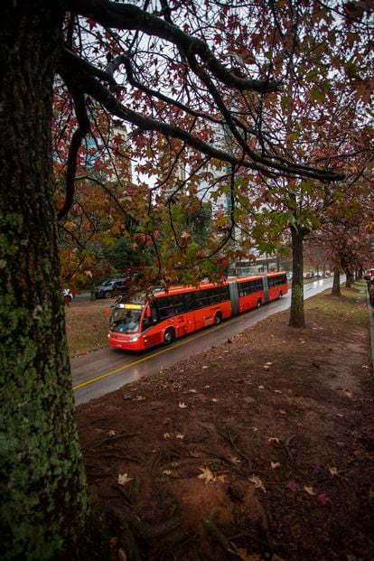 Curitiba: Brazil's sustainable green gem, EPS