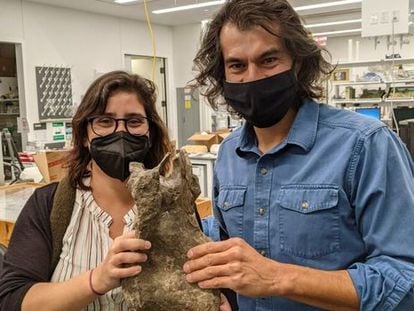 Paleontologists Mónica Carvalho and Jeff Wilson with the vertebra of the new dinosaur 'Perijasaurus lapaz' at the University of Michigan. (Courtesy)