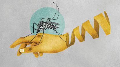 Illustration about malaria and mosquitoes