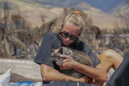 A woman cradles her cat after finding him in the aftermath of a wildfire in Lahaina, western Maui, Hawaii on August 11, 2023. 