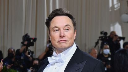 Billionaire tech entrepreneur Elon Musk reportedly had twins last year with an executive at one of his companies.