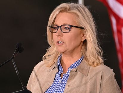 US Representative Liz Cheney speaks to supporters at an election night event during the Wyoming primary election.