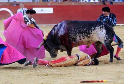 The bullfight was being broadcast live on TV. After Barrio was removed from the ring and his death was confirmed, the bullfights were suspended. Following tradition, the mother of the bull that took the life of the torero will now be killed.