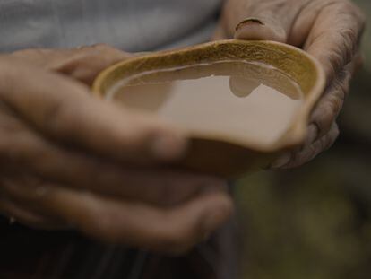'Chawarmishki,' or agave sap, in an image provided by Casa Agave Ecuador.