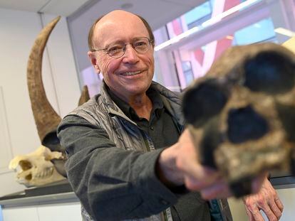Tim White holds the skull of an African hominid in the National Research Center for Human Evolution in Burgos, Spain.