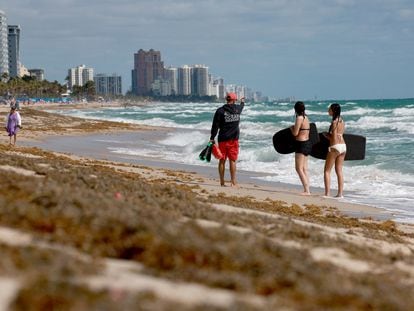 Beachgoers walk past seaweed that washed ashore on March 16, 2023 in Fort Lauderdale, Florida.