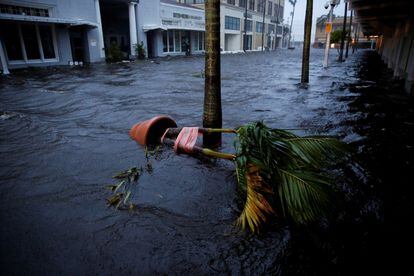 A plant and its pot are washed away on a Fort Myers street.