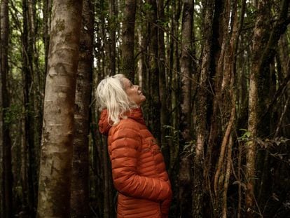 American conservationist Kristine Tompkins stands in the middle of the forest in Pumalín Douglas Tompkins National Park, located in southern Chile.