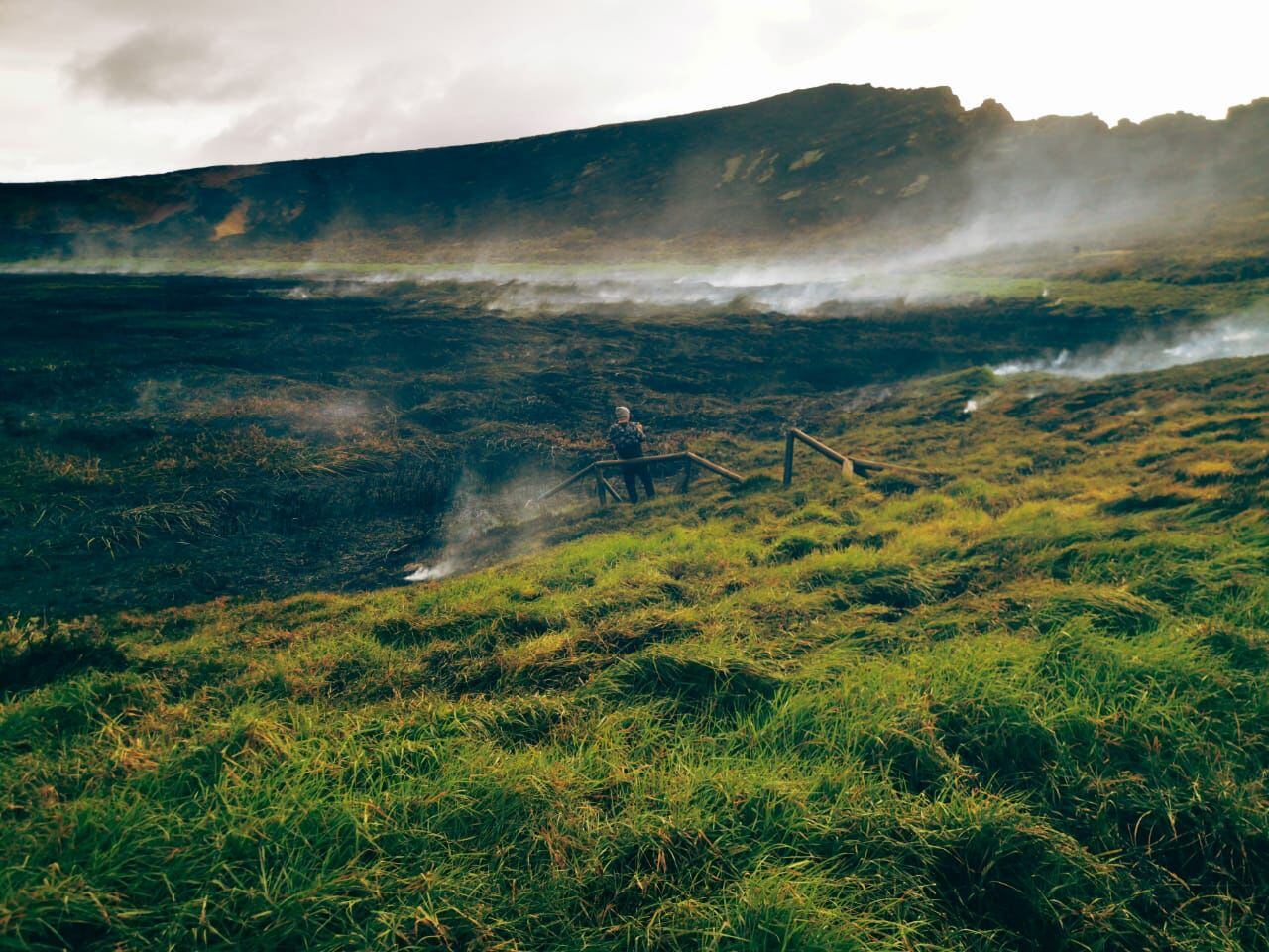 Photograph provided by the Municipality of Easter Island showing an area damaged by the fire.