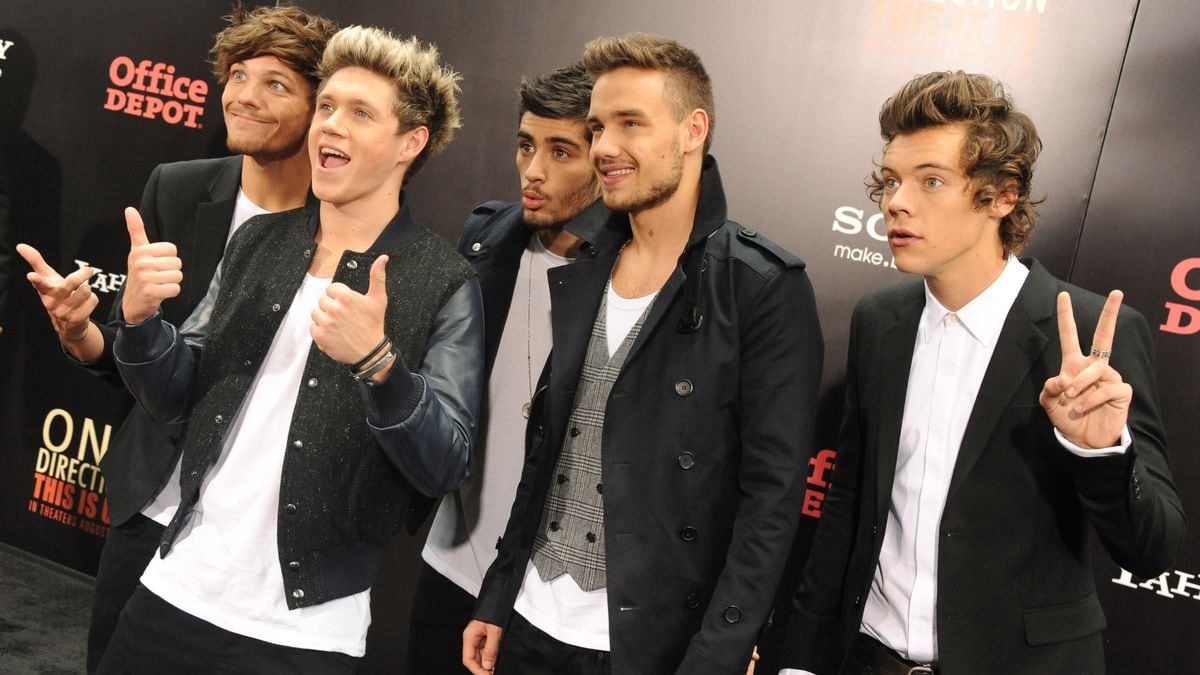 One Direction made almost £1m last year despite band splitting up