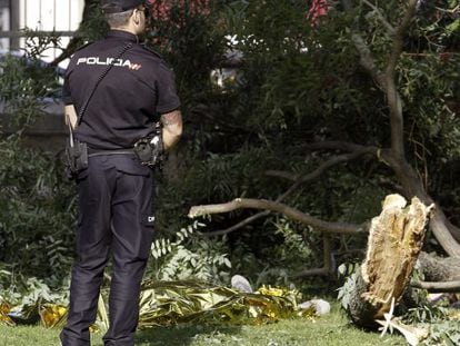 A 38-year-old man was killed by a falling branch in the Retiro Park in June.