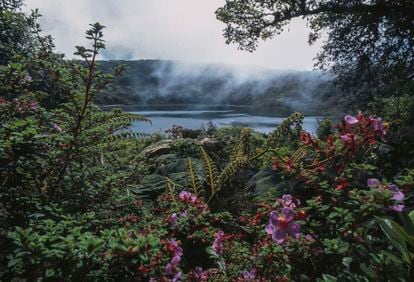 Laguna de Botos rodeada de vegetación, alrededor del Volcán Poás, en Costa Rica